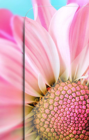 SZKŁO HARTOWANE do iPhone 12 / 12 PRO PEŁNE PREMIUM 9H BIG EDGE ZESTAW