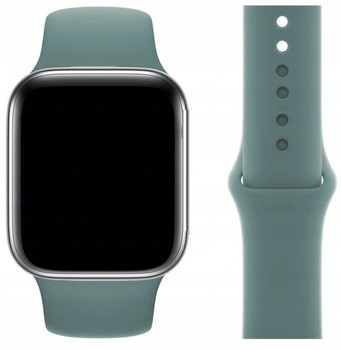 PASEK DO APPLE WATCH 3 4 5 6 7 SE 38 40 41 mm