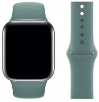 PASEK DO APPLE WATCH 3 4 5 6 7 SE 42 44 45 mm